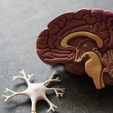 Optimizing Your Brain’s Habits With Neurofeedback