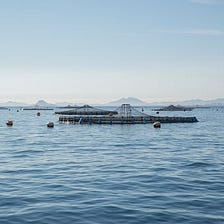 Aquaculture — The Good, Bad and Ugly