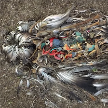 How to Fight Ocean Plastic