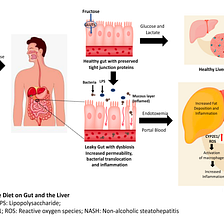 Towards a Healthy Liver