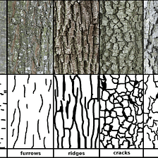 Testing Power of MobileNet with Bark Classification