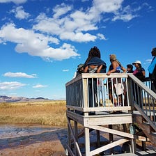 Writers Emerging at Fly Ranch Reflection