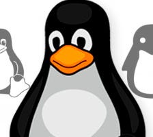 Write-Up 10- TryHackMe- Linux Challenges