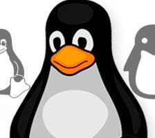 Write-Up 10- TryHackMe- Linux Challenges Part 2