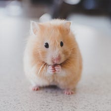 Hey Scientists: Mice Do Not Have Autism!