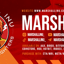 Marshall Inu launches the Marshall Fighting Championship!