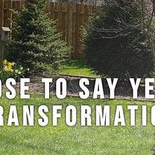 Choose To Say Yes To Transformation — Beca Lewis