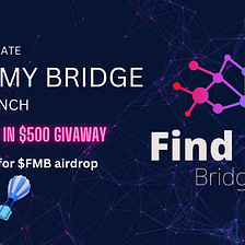 The launch of Find My bridge Beta and “Build da Bridge” journey