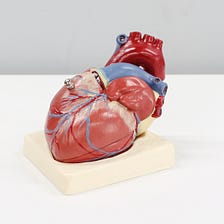 How 3D-Printed Hearts Could Change Christianity