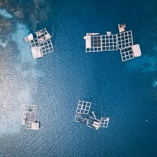 Pros and Cons Aquaculture (Fish Farming)