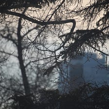 A Win-Win for the Environment and the Economy