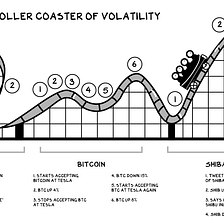 The Elon Musk Rollercoaster of Volatility