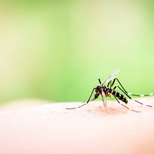 Diminishing the Dengue Danger: Predicting future dengue outbreaks using Machine Learning on…