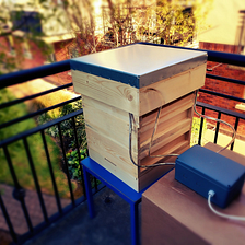 Project Fitbit-For-Bees
