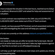 Analysis of Palmswap incident