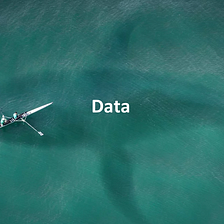 Los mercados radicales y la economía de los datos