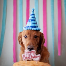 Why does Celebrating Birthdays Matter?