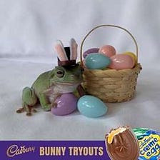 Tree Frog From Stuart New Easter Bunny