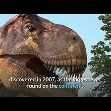 New dinosaur species is largest found in Australia.