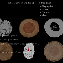 Tree Clocks: an interactive rhythm and language work