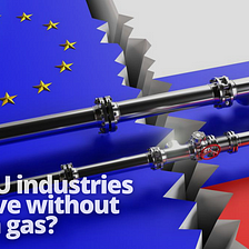 Could EU industry stay alive without Russian gas?