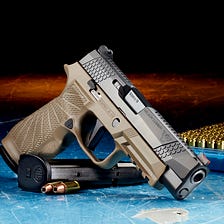 What the Historic New Gun Safety Law Does
