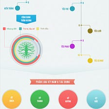 Infographic — Phân loại trầm kỳ