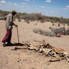 As famine looms over horn of Africa, calls for help fall on deaf ears