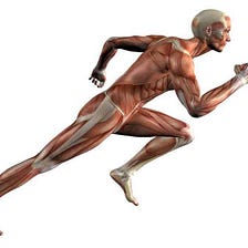 What is Muscle Tone?