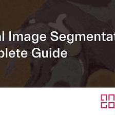 Medical Image Segmentation: A Complete Guide