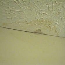 Common Health Problems Caused by Mold And How To Prevent Them