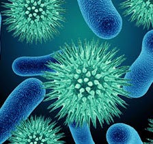 Infectious Diseases Outbreak | From COVID-19, Monkeypox, Hepatitis, Ebola Virus, Marbug Virus and…