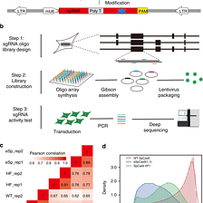 Optimized Crispr guide RNA design for two high fidelity Cas9 variants by deep learning