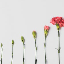 Growth
