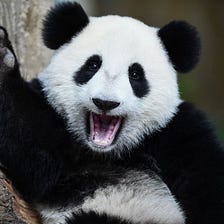 Combining Data — Python & Pandas
