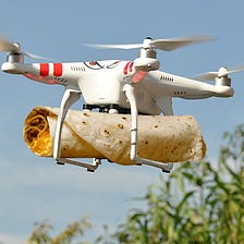 Elsa’s FoodTech future a.k.a Drones coming to the rescue on Taco Tuesday