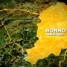 UK NGO Aborts 6,344 pregnancies within 1 year in Borno