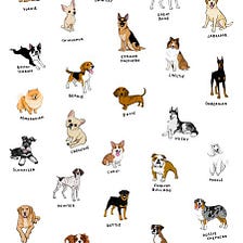 Can a machine learn how to classify dog breeds?