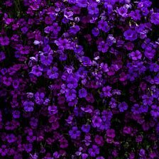 To the Beautiful Memory of My Grandmother