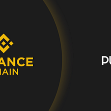 Отдай свой голос за листинг Pundi X на Binance DEX