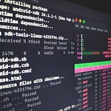 Setting up your bug bounty scripts with Python and Bash