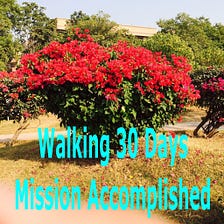 Walking/Running 30 Days — Day 22–30–8000 Steps