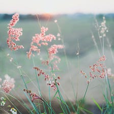 It Was So Unfair, Said Nobody At All