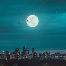 The Night Silence
