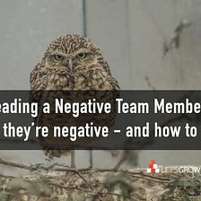 How to Lead a Negative Team Member