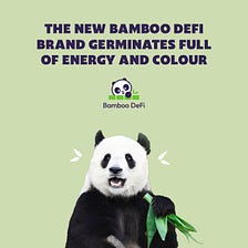 The new Bamboo DeFi brand germinates full of energy and colour