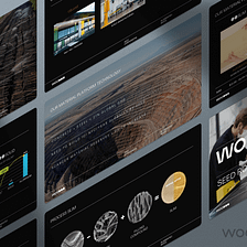 Sustainability startup Woodoo raised $31M with this 8-slide pitch deck