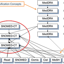 A Conceptual Overview of OMOP CDM