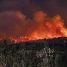 Solutions to California’s Burning Question