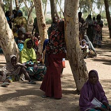 Climate Change, Insecurity, Women and Vulnerable Groups In Nigeria